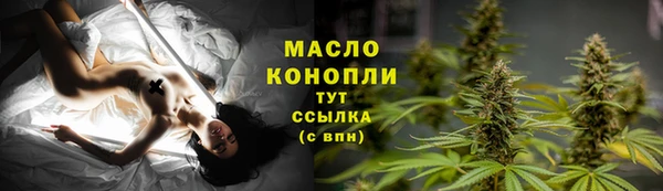 молекула духа Горняк