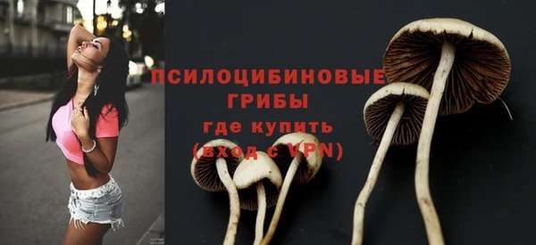 jwh Горнозаводск
