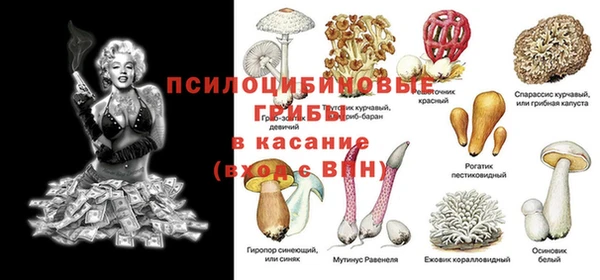 молекула духа Горняк