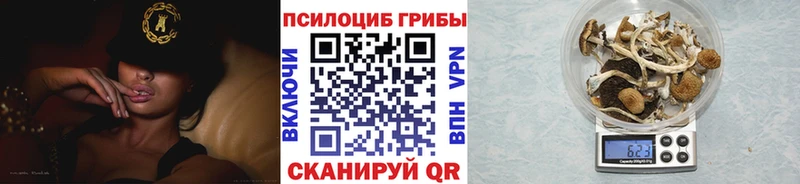наркота  Губкин  Галлюциногенные грибы Psilocybe 