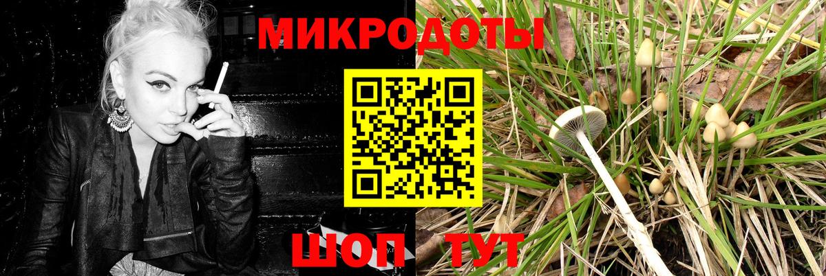 Псилоцибиновые грибы Psilocybine cubensis Губкин