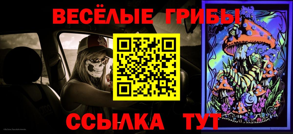 Галлюциногенные грибы Psilocybe  Псилоцибиновые грибы мицелий  Губкин 