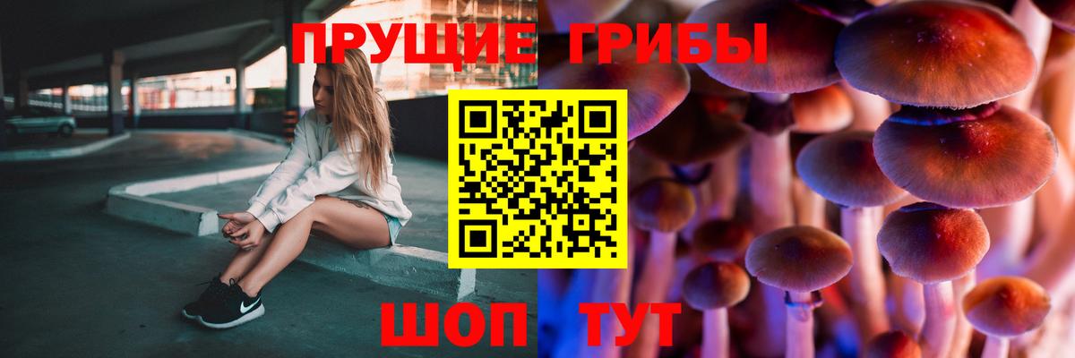 Галлюциногенные грибы мухоморы Губкин